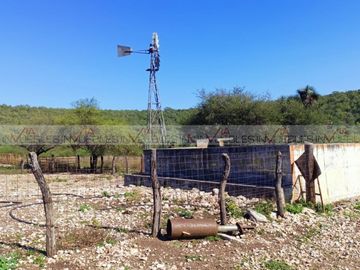 El Palmarito
