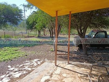 El Palmarito