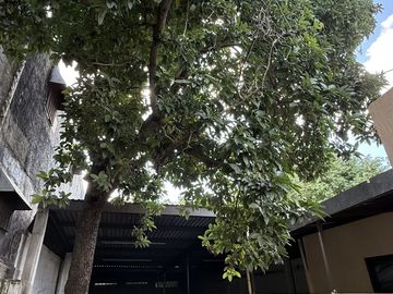 Casa para remodelar en el Centro