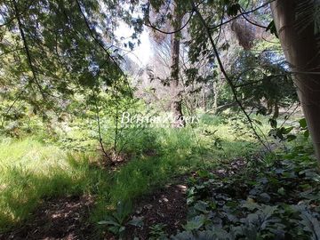 Casa en Venta en Dominicos antiguo / Francisco Bulnes Correa / Camino Las Flores