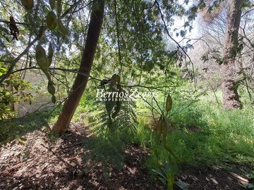 Casa en Venta en Dominicos antiguo / Francisco Bulnes Correa / Camino Las Flores