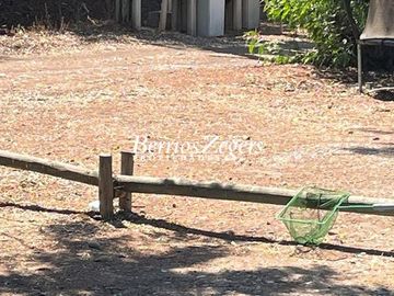 Industrial en Venta en Camino El Guanaco