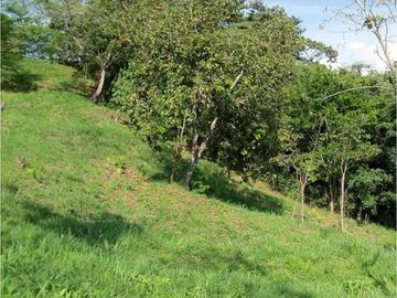 Maat vende Finca  Villeta Salitre Negro 12.000mtrs $1.050 Millones