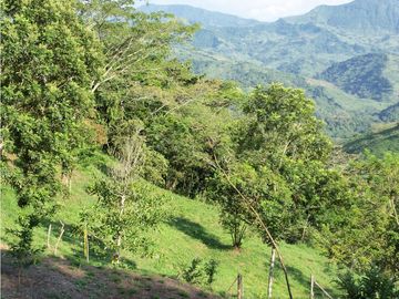 Maat vende Finca  Villeta Salitre Negro 12.000mtrs $1.050 Millones