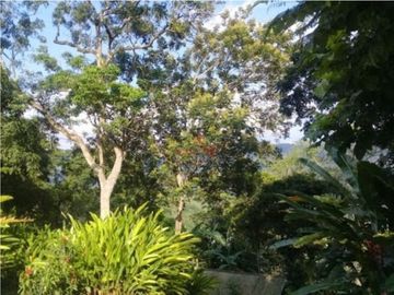 Maat vende Finca  Villeta Salitre Negro 12.000mtrs $1.050 Millones