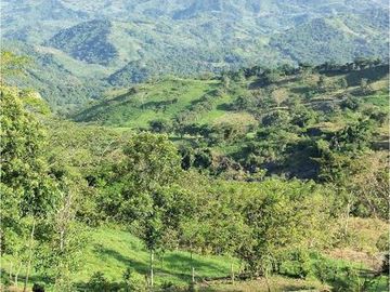 Maat vende Finca  Villeta Salitre Negro 12.000mtrs $1.050 Millones