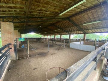 VENDEMOS FINCA CON PESEBRERA EN GIRARDOTA