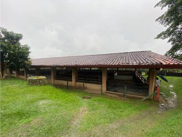 VENDEMOS FINCA CON PESEBRERA EN GIRARDOTA