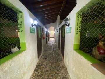 VENDEMOS FINCA CON PESEBRERA EN GIRARDOTA