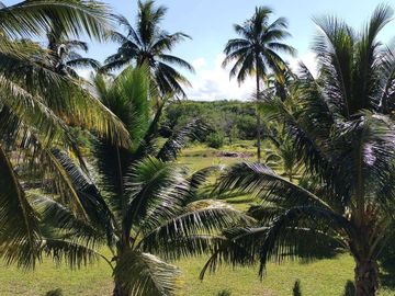 Terreno en Venta en San Crisanto