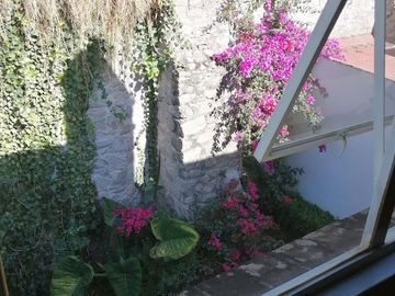 MEGA SEGURIDAD  Y JARDÍN PRIVADO