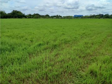TERRENO COMERCIAL VIA INTERAMERICANA / LA MESA DE VERAGUAS / 15000m2
