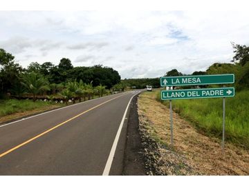 TERRENO COMERCIAL VIA INTERAMERICANA / LA MESA DE VERAGUAS / 15000m2