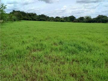 TERRENO COMERCIAL VIA INTERAMERICANA / LA MESA DE VERAGUAS / 15000m2