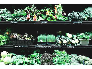 VENTA  Minimarket/Verdularia, Linares