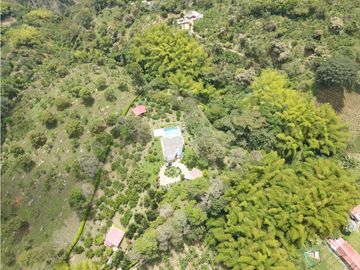 Finca de 3.5 cuadras en venta sector Buenavista Quindío