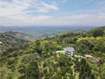 Finca de 3.5 cuadras en venta sector Buenavista Quindío