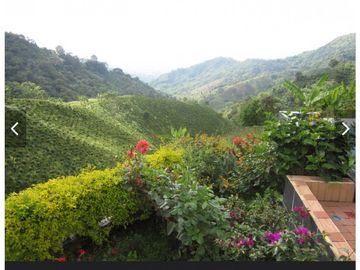 Se Vende Finca cafetera en Pijao Quindio