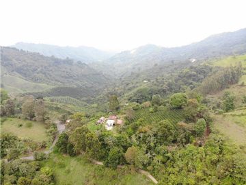 Se Vende Finca cafetera en Pijao Quindio