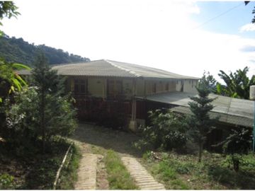 Se Vende Finca cafetera en Pijao Quindio