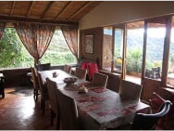 Se Vende Finca cafetera en Pijao Quindio