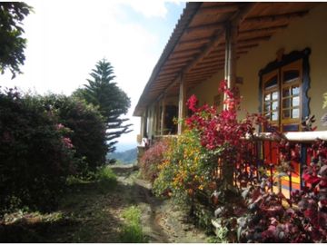 Se Vende Finca cafetera en Pijao Quindio