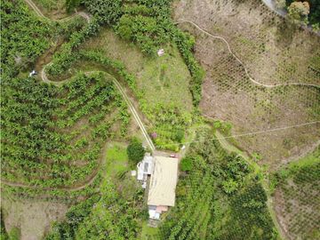 Se Vende Finca cafetera en Pijao Quindio
