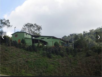 Se Vende Finca cafetera en Pijao Quindio