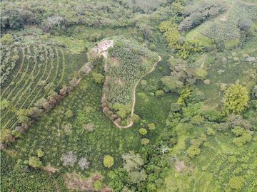Se Vende Finca cafetera en Pijao Quindio