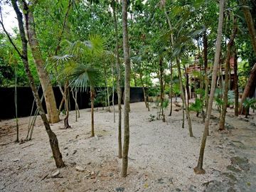 CASA DEL ÁRBOL