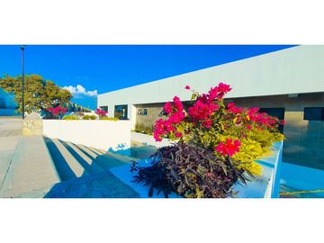 Departamento En Venta Lomas Del Pedregal
