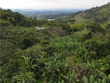 Se vende finca-lote cerca a Buenavista ideal para turismo o vivienda