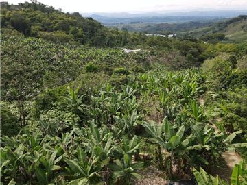 Se vende finca-lote cerca a Buenavista ideal para turismo o vivienda