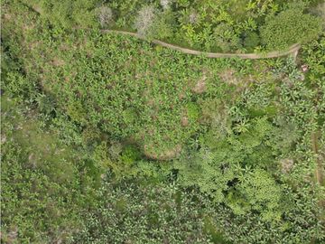 Se vende finca-lote cerca a Buenavista ideal para turismo o vivienda