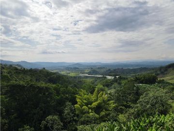 Se vende finca-lote cerca a Buenavista ideal para turismo o vivienda
