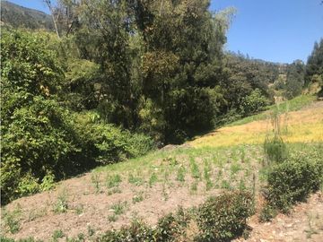 FINCA EN PERMUTA  BOYACA SORACA