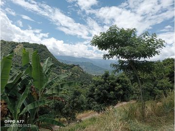 VENDO LOTE PLANO SAN JOAQUIN - LA MESA CUNDINAMARCA