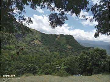 VENDO LOTE PLANO SAN JOAQUIN - LA MESA CUNDINAMARCA