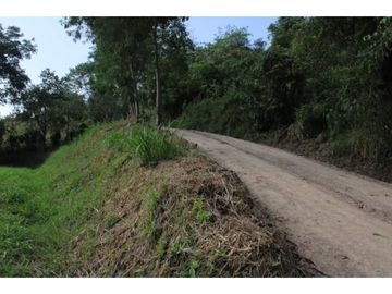 VENDO LOTE PLANO SAN JOAQUIN - LA MESA CUNDINAMARCA