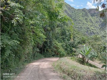 VENDO LOTE PLANO SAN JOAQUIN - LA MESA CUNDINAMARCA