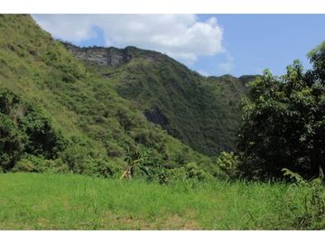VENDO LOTE PLANO SAN JOAQUIN - LA MESA CUNDINAMARCA