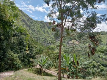 VENDO LOTE PLANO SAN JOAQUIN - LA MESA CUNDINAMARCA