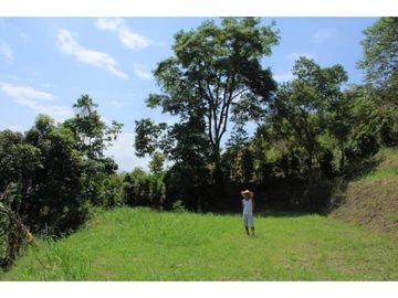 VENDO LOTE PLANO SAN JOAQUIN - LA MESA CUNDINAMARCA