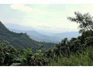 VENDO LOTE PLANO SAN JOAQUIN - LA MESA CUNDINAMARCA
