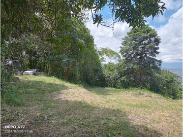 VENDO LOTE PLANO SAN JOAQUIN - LA MESA CUNDINAMARCA