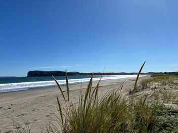 Parcela en venta en LOS MUERMOS