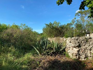 QUINTA DE 3,943 M2 EN VENTA SAN LORENZO UMÁN YUCATÁN
