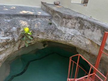 EXCELENTE RANCHO EN VENTA DE 35.5 has. A 18KM DE LA PLAYA EN TELCHAC PBLO. YUCATÁN.