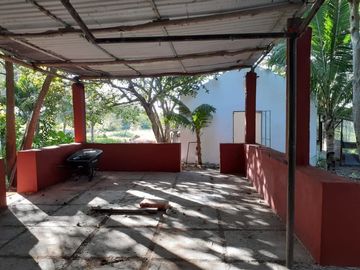 EXCELENTE RANCHO EN VENTA DE 35.5 has. A 18KM DE LA PLAYA EN TELCHAC PBLO. YUCATÁN.