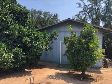 Parcela en Curacaví. 2 Casas. Árboles frutales.